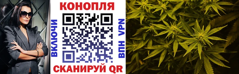Купить  Осташков  МАРИХУАНА Amnesia 
